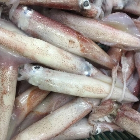Tổng Kho Hải Sản Đông Lạnh Nhập Khẩu Tại Tỉnh Hà Giang