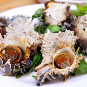 Tổng Kho Thịt Bò, Thịt Gà, Thịt Heo, Hải Sản Đông Lạnh nhập khẩu tại xã Sín Thầu, tỉnh Điện Biên