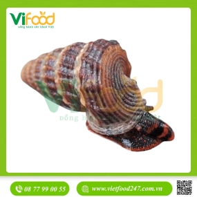 Ốc Len Sống