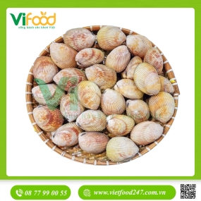 Sò Dương Tươi Sống