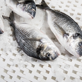 Kho Thịt Bò, Thịt Gà, Thịt Heo, Hải Sản Đông Lạnh Nhập Khẩu tại Xã Sìn Hồ, tỉnh Lai Châu