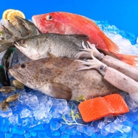 Giá Sỉ Thịt Bò, Thịt Gà, Thịt Heo, Hải Sản Đông Lạnh Nhập Khẩu Tại Phường Lĩnh Nam, Hà Nội