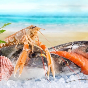 Cửa Hàng Thịt Bò, Thịt Gà, Thịt Heo, Hải Sản Đông Lạnh tại xã Lý Nhân, tỉnh Ninh Bình