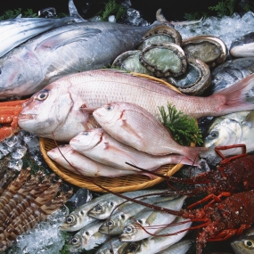 Kho Thịt Bò, Thịt Gà, Thịt Heo, Hải Sản Đông Lạnh Xã Suối Tọ, huyện Phù Yên, tỉnh Sơn La