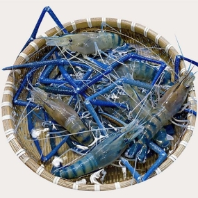 Tổng Kho Thịt Bò, Thịt Gà, Thịt Heo & Hải Sản Đông Lạnh tại xã Côn Lôn, tỉnh Tuyên Quang