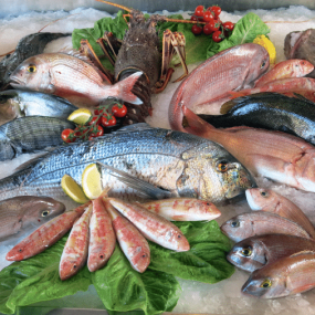Tổng Kho Thịt Bò, Thịt Gà, Thịt Heo, Hải Sản Đông Lạnh tại Xã Phượng Tiến, Tỉnh Thái Nguyên