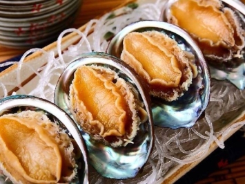 Bào Ngư Úc – Hàn – Nhật Đông Lạnh Cao Cấp Có Mặt Tại Vifood