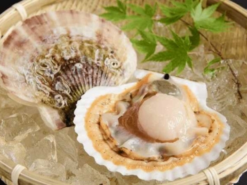 Vifood – Nhà cung cấp sò điệp đông lạnh tại Bình Thạnh sạch, ngon, có chứng nhận