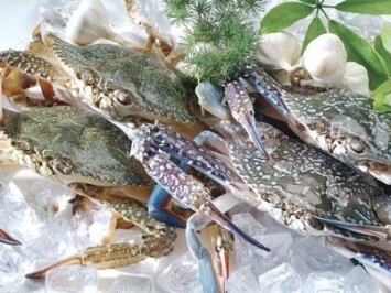 Kho hải sản đông lạnh Quận 10 – Đa dạng, sạch sẽ, tiện lợi