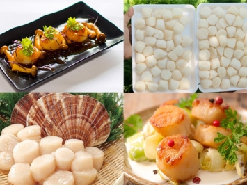 Mua Cồi Sò Mai Đông Lạnh Ở Đâu Uy Tín? Gợi Ý Từ Vifood