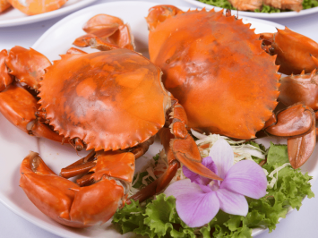 Cua Cà Mau Tươi Sống – Tinh Hoa Hải Sản Miền Tây Tại TP.HCM