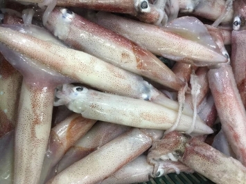 Khám Phá Mực Trứng Đông Lạnh - Món Ngon, Dinh Dưỡng Và Dễ Dàng Chế Biến Tại Gò Vấp