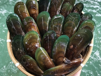 cháo vẹm xanh nấm